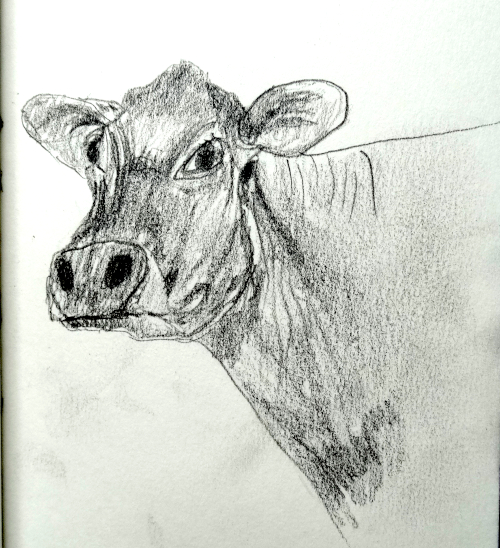 Zeichen Challenge Skizze 024