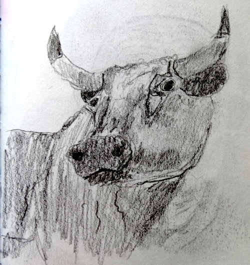 Zeichen Challenge Skizze 025