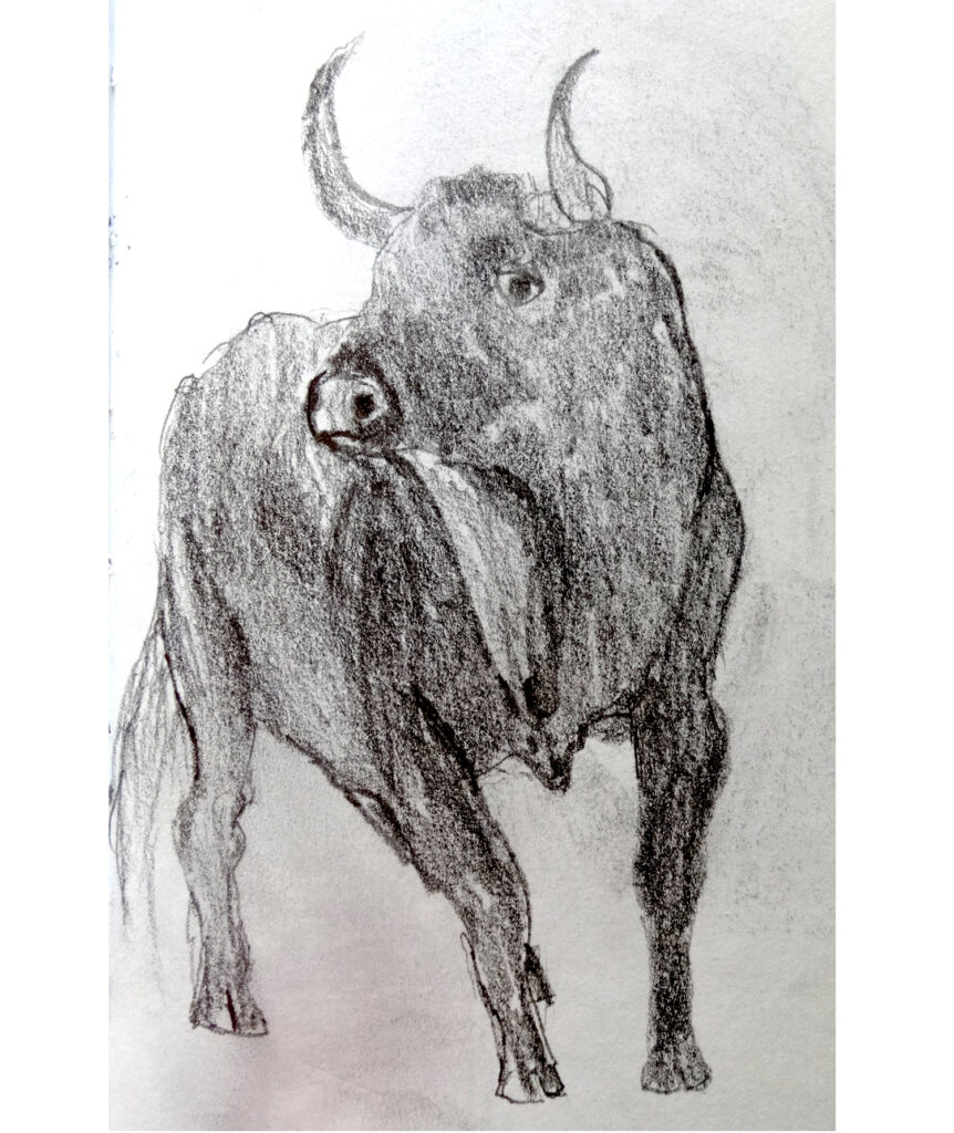 Zeichen Challenge Skizze 026